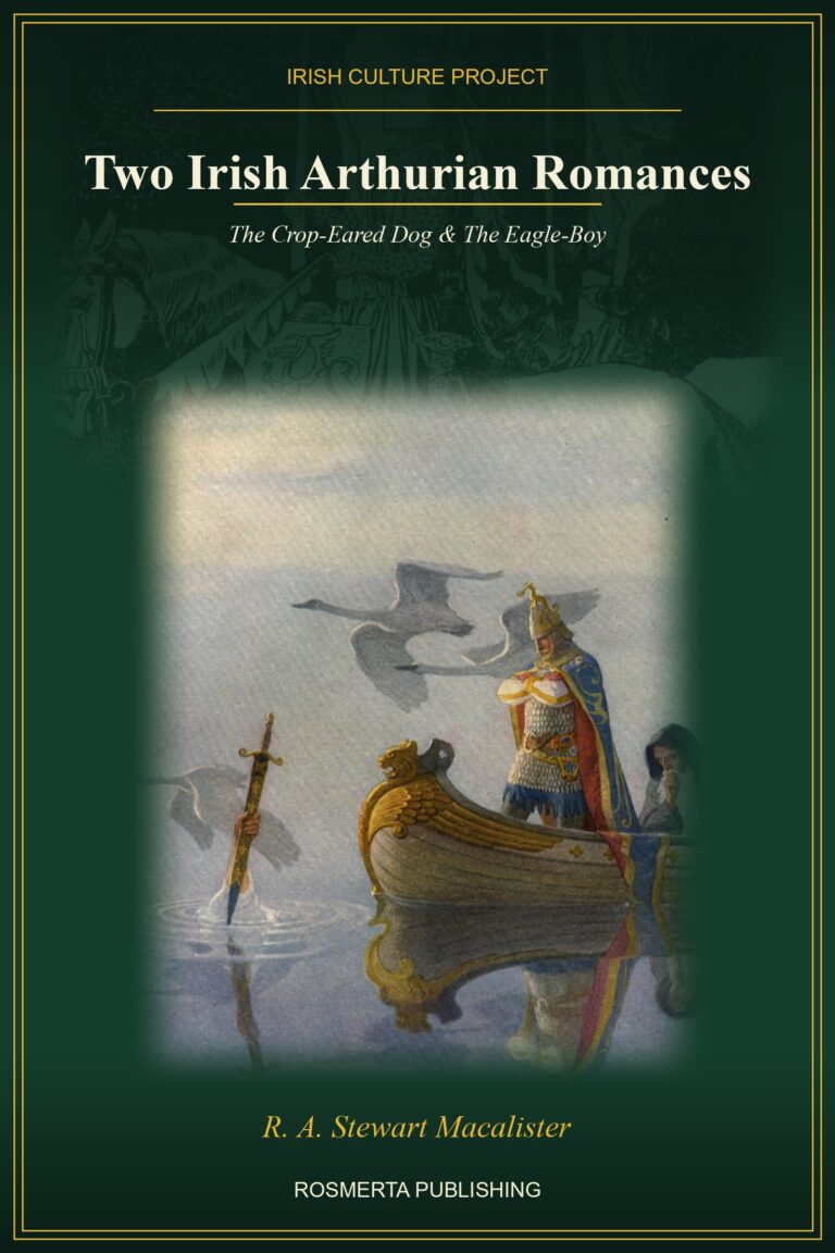 Front cover of Two Irish Arthurian Romances, Rosmerta Publishing edition